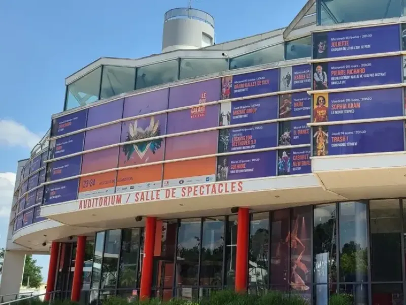 Photographie de jour, Le Pin Galant, Mérignac